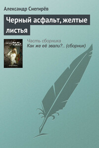 Черный асфальт, желтые листья - Александр Снегирев