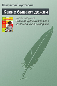 Какие бывают дожди - Константин Георгиевич Паустовский
