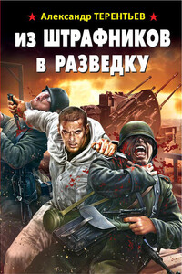 Из штрафников в разведку - Александр Николаевич Терентьев