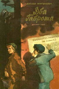 Два Гавроша - Михаил Юрьевич Шмушкевич