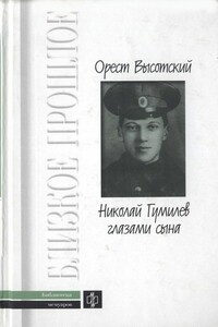 Николай Гумилев глазами сына - Юрий Павлович Анненков, Андрей Белый