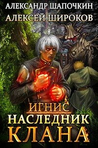 Наследник клана (Взрыв это случайность) - Алексей Викторович Широков, Александр Игоревич Шапочкин