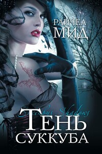 Тень суккуба - Райчел Мид