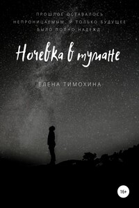 Ночевка в тумане - Елена Евгеньевна Тимохина