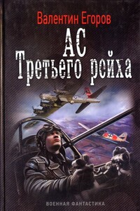 Ас Третьего рейха - Валентин Александрович Егоров