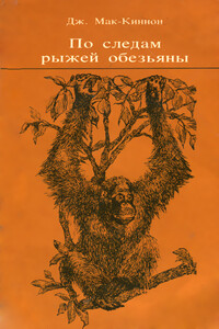 По следам рыжей обезьяны - Джон Мак-Киннон