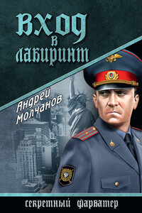 Вход в лабиринт - Андрей Алексеевич Молчанов