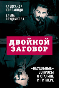 Двойной заговор. «Неудобные» вопросы о Сталине и Гитлере - Александр Иванович Колпакиди, Елена Анатольевна Прудникова