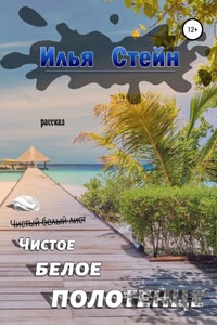 Чистое белое полотенце - Илья Стейн