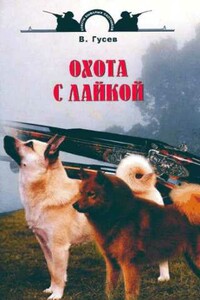 Охота с лайкой - Владимир Гаврилович Гусев