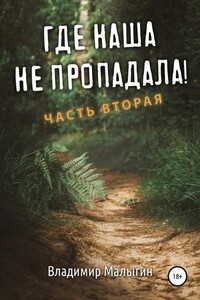 Где наша не пропадала 2 - Владимир Владиславович Малыгин