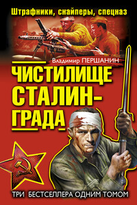 Чистилище Сталинграда. Штрафники, снайперы, спецназ - Владимир Николаевич Першанин