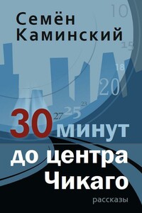 30 минут до центра Чикаго - Семён Каминский