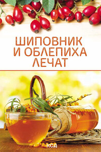 Шиповник и облепиха лечат - Ольга Николаевна Шелест