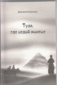 Туда, где седой монгол - Дмитрий Александрович Ахметшин