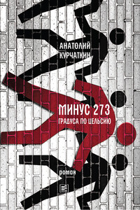 Минус 273 градуса по Цельсию - Анатолий Николаевич Курчаткин