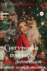 Снегурочка поневоле, или Лейтенант желает познакомиться - Ксения Игоревна Руднева