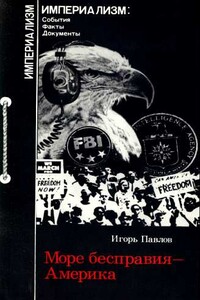 Море бесправия - Америка. Капитализм США и дискриминация личности - Игорь Павлов