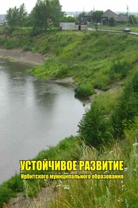Устойчивое развитие Ирбитского муниципального образования. Часть 1 - Александр Витальевич Камянчук, Алексей Семёнович Ерёмин