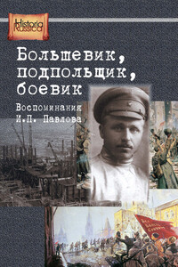 Большевик, подпольщик, боевик. Воспоминания И. П. Павлова - Дмитрий Борисович Павлов