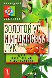 Золотой ус и индийский лук для здоровья и долголетия - автор неизвестный