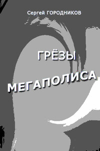 Разведчик - Сергей Васильевич Городников