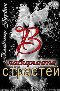 В лабиринте страстей - Владимир Моисеевич Гурвич