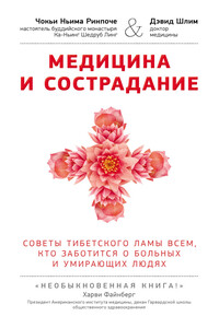 Медицина и сострадание. Советы тибетского ламы всем, кто заботиться о больных и умирающих людях - Чоки Нима Ринпоче, Дэвид Шлим