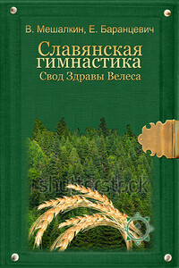 Славянская гимнастика. Свод Здравы Велеса - Владислав Эдуардович Мешалкин, Евгений Робертович Баранцевич