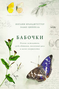 Бабочки. Основы систематики, среда обитания, жизненный цикл и магия совершенства - Иоганн Брандштеттер, Эльке Циппель