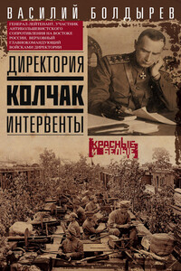 Директория. Колчак. Интервенты - Василий Георгиевич Болдырев