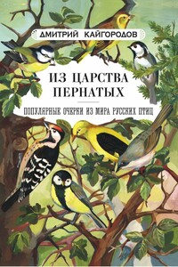 Из царства пернатых - Дмитрий Никифорович Кайгородов