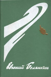 Генерал коммуны - Евгений Осипович Белянкин