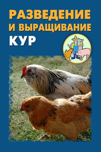 Разведение и выращивание кур - Илья Валерьевич Мельников, Александр Александрович Ханников