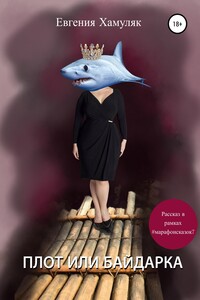 Плот или байдарка - Евгения Ивановна Хамуляк
