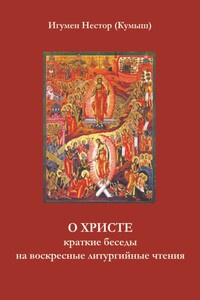 О Христе. Краткие беседы на воскресные литургийные чтения - Владислав Юрьевич Кумыш