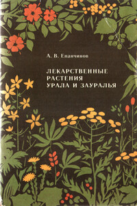 Лекарственные растения Урала и Зауралья - Анатолий Васильевич Епанчинов