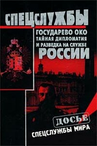 Государево око. Тайная дипломатия и разведка на службе России - Николай Александрович Кудрявцев