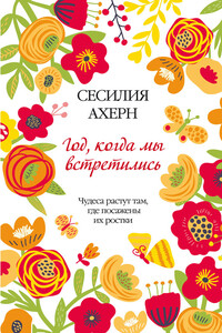 Год, когда мы встретились - Сесилия Ахерн