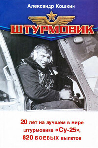 Штурмовик - Александр Михайлович Кошкин