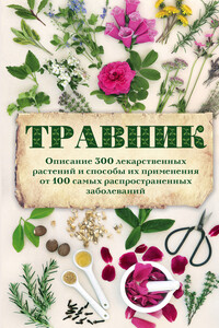 Травник. Описание 300 лекарственных растений и способы их применения от 100 самых распространенных заболеваний - А Подоляк