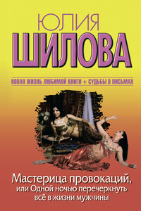 Мастерица провокаций, или Одной ночью перечеркнуть все в жизни мужчины - Юлия Витальевна Шилова
