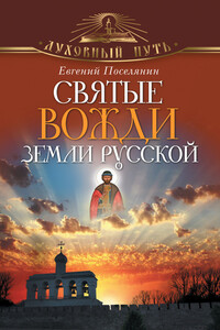 Святые вожди земли русской - Евгений Николаевич Поселянин