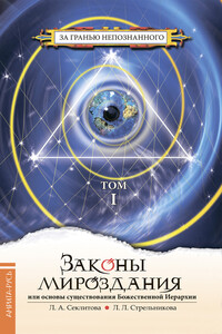Законы мироздания, или Основы существования Божественной Иерархии. Том I - Лариса Александровна Секлитова, Людмила Леоновна Стрельникова