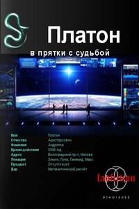 Платон. Книга 1. В прятки с судьбой - Алексей Секунов