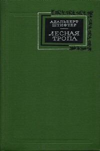 Лесная тропа - Адальберт Штифтер