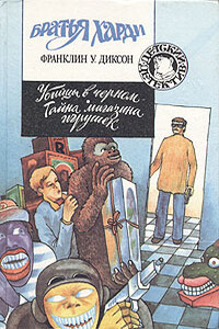 Тайна магазина игрушек - Франклин У Диксон