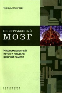 Перегруженный мозг. Информационный поток и пределы рабочей памяти - Торкель Клингберг