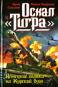 Оскал «Тигра». Немецкие танки на Курской дуге - Михаил Юрьевич Парфенов, Юрий Викторович Стукалин