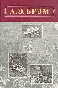 Жизнь животных. Том 3. Пресмыкающиеся. Земноводные. Рыбы - Альфред Эдмунд Брем